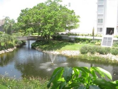 Tropical pond